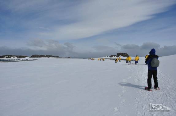 Fotografando a caminhada pela vastidão branca de Turret Point, em King George Island, na Antártida
